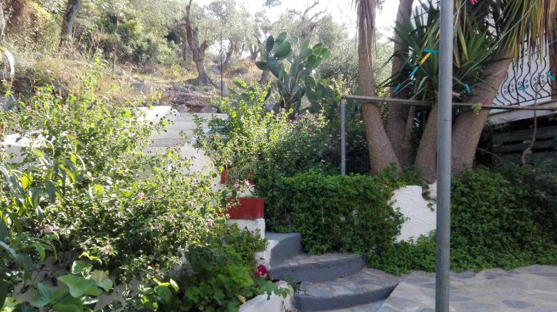 Stelios Studios - image 23