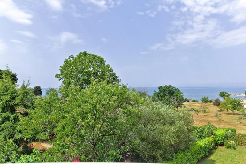 Three-Bedroom Apartment image 3