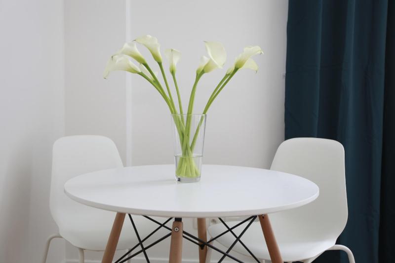 One-Bedroom Apartment image 3