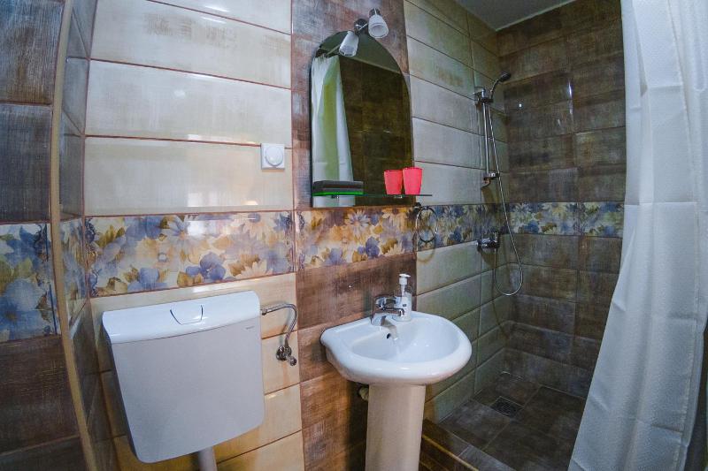 One-Bedroom Apartment image 2