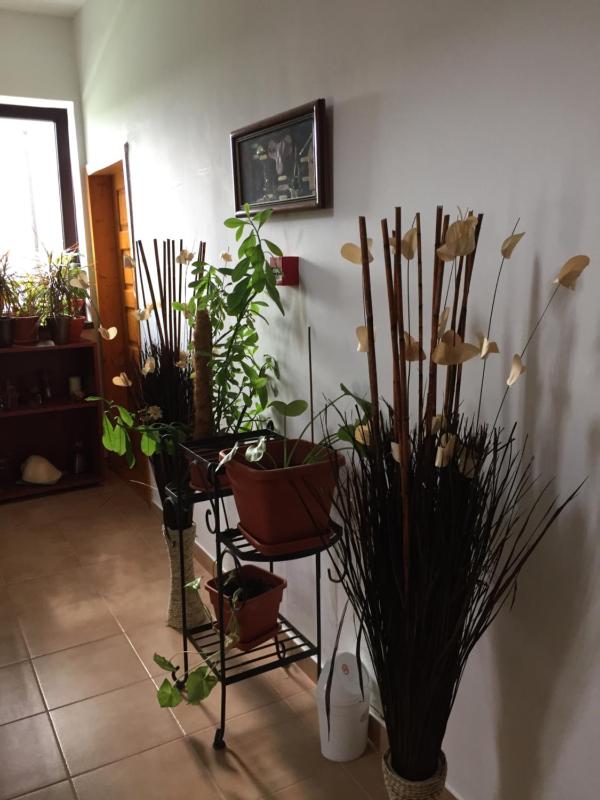 Adrys Boutique Villa - image 18