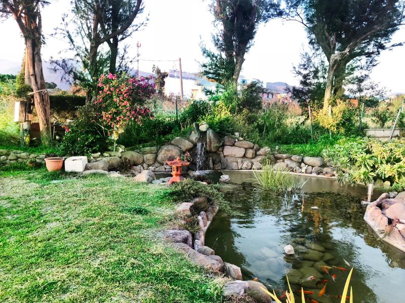 Pisces Garden B&B - image 25