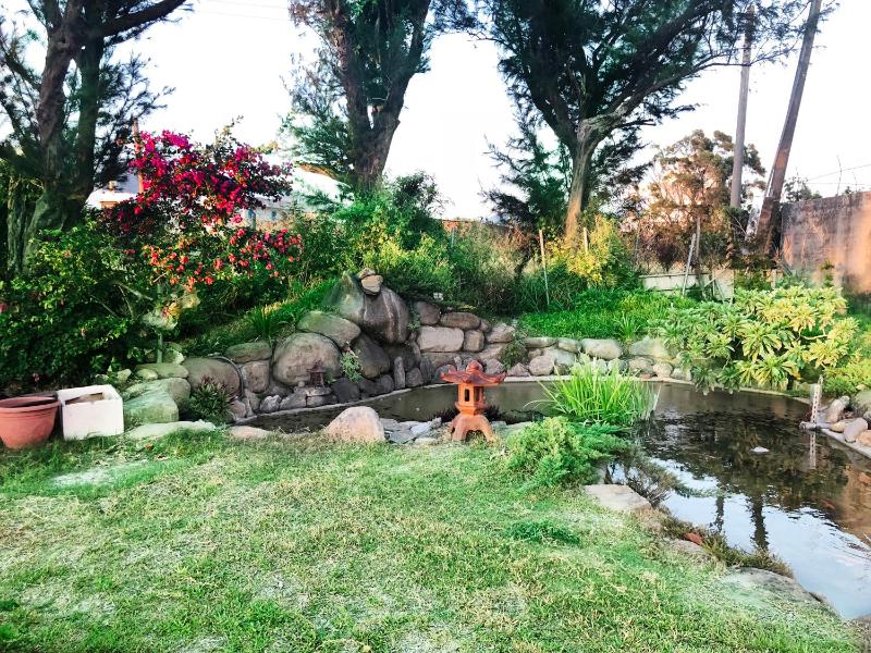 Pisces Garden B&B - image 17