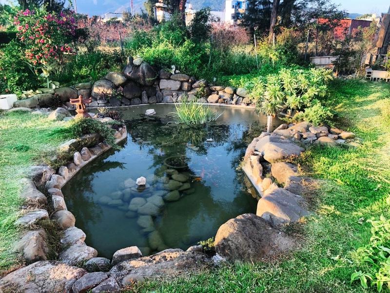 Pisces Garden B&B - image 50