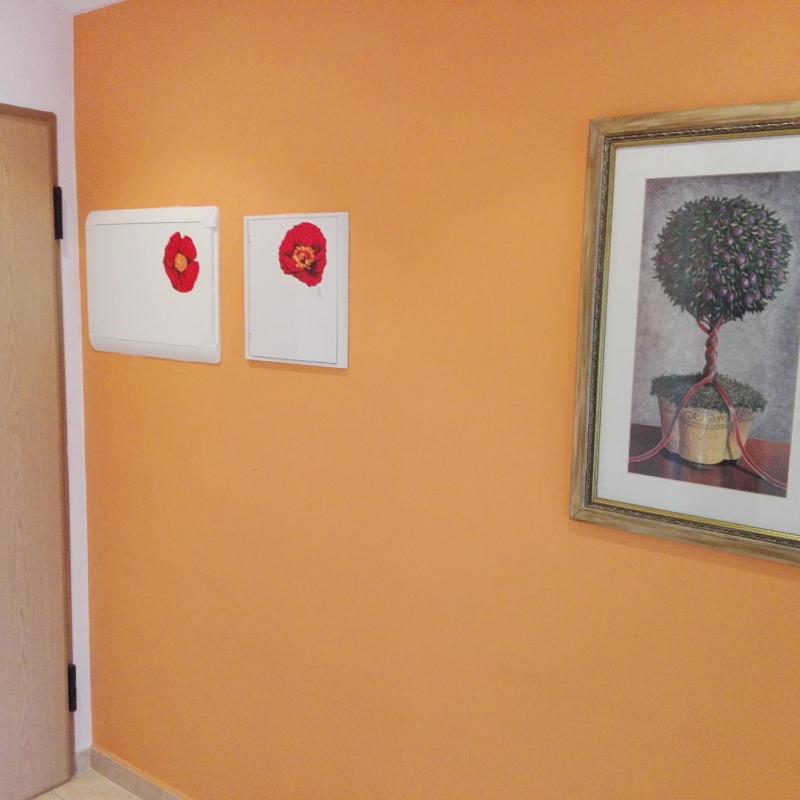 Mar Atlantico Apartment - image 17
