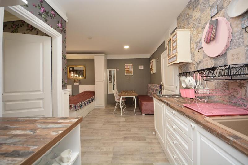 One-Bedroom Apartment image 3