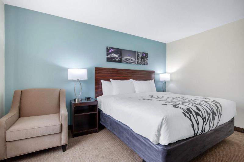 King Room - Non-Smoking image 4