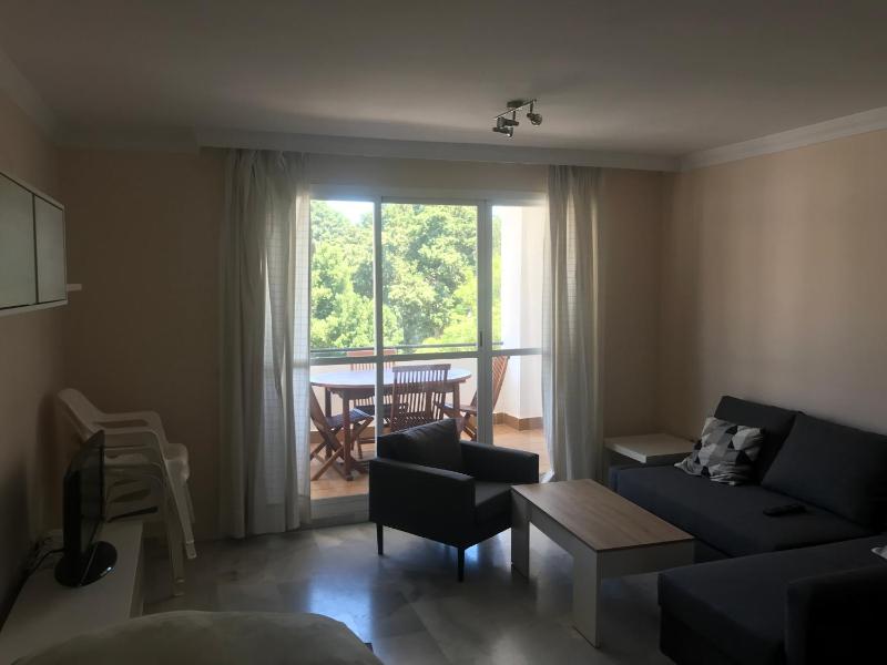 Apartment with Terrace image 2