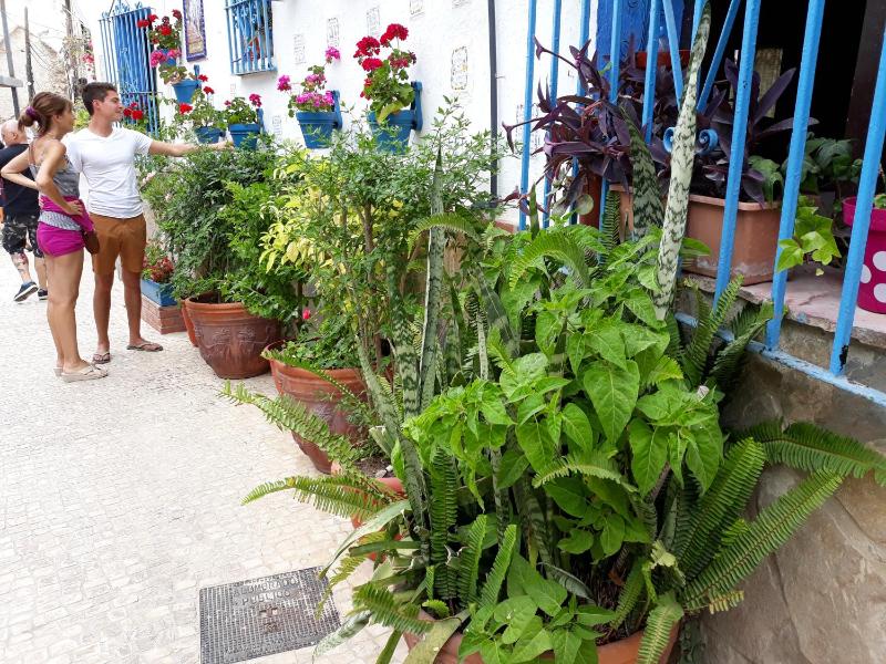 Micaela Charming Hostal - image 27