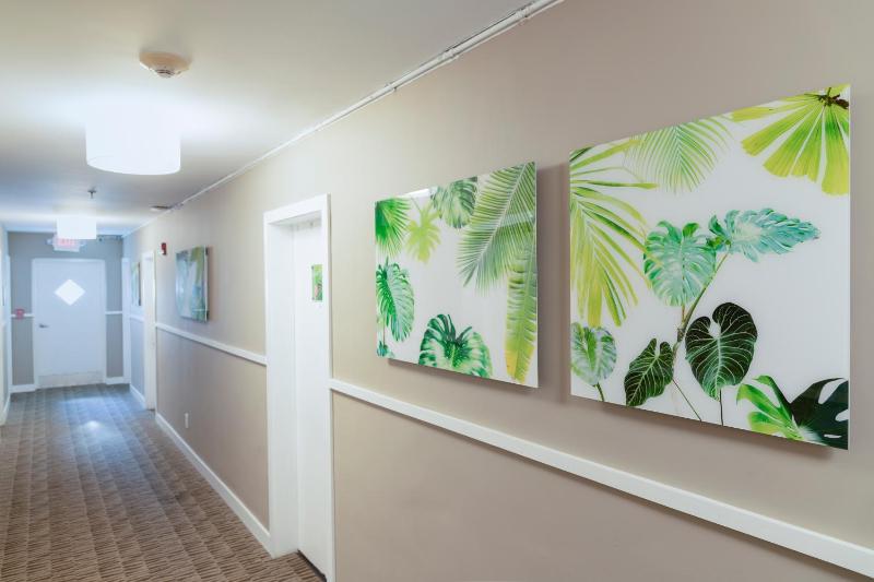 President Hotel - image 13