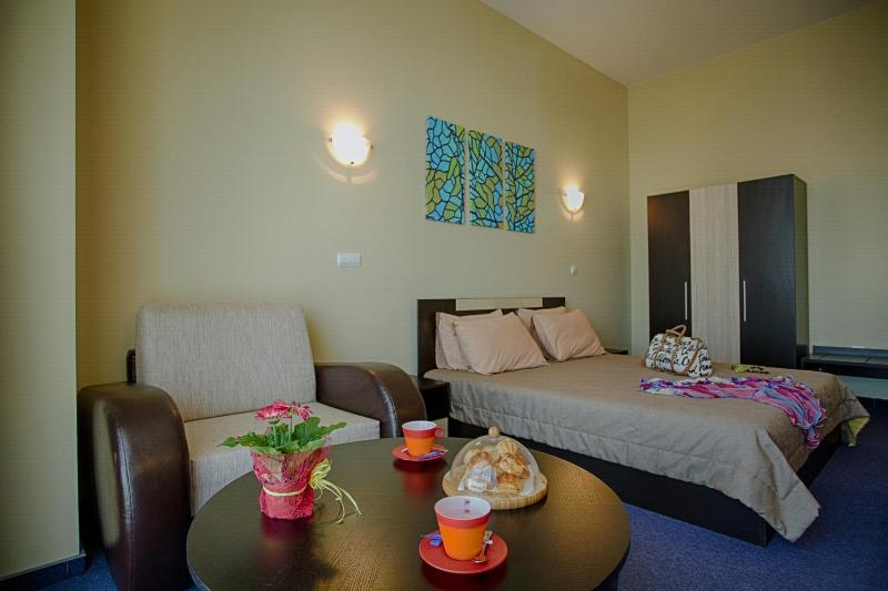 Hemus Hotel Sofia - image 8