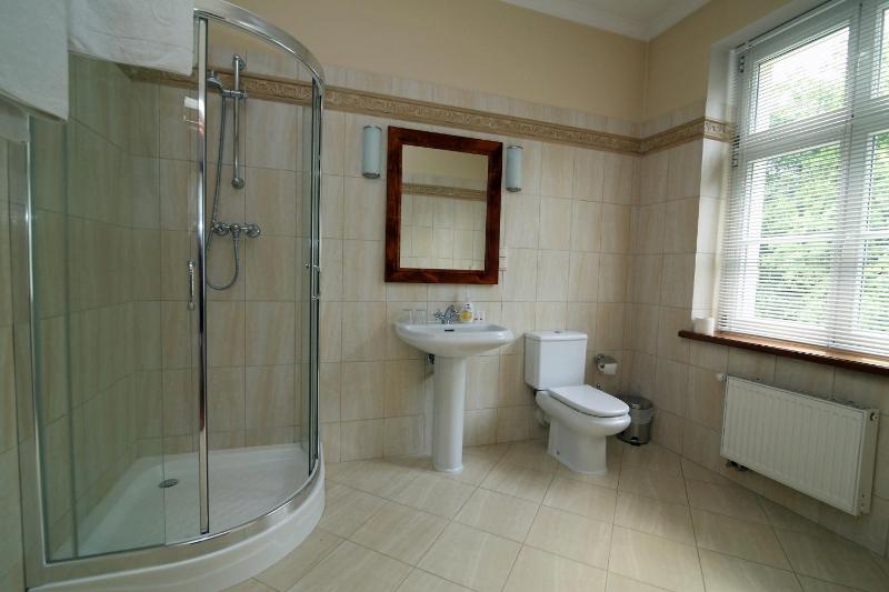 Deluxe Double Room image 3
