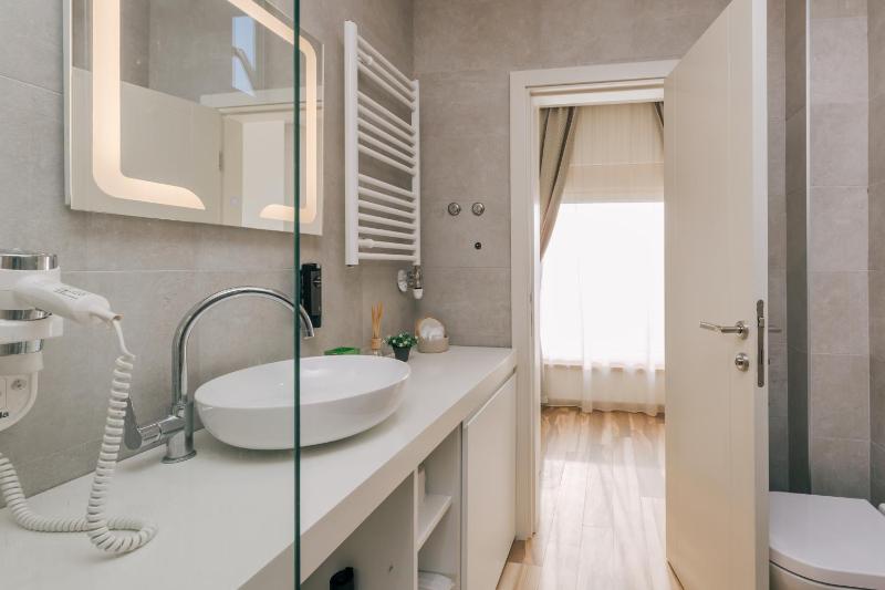 Deluxe Suite with  Balcony image 3