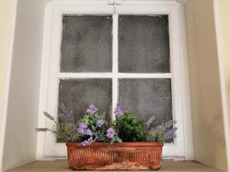 Deluxe One-Bedroom Apartment image 2