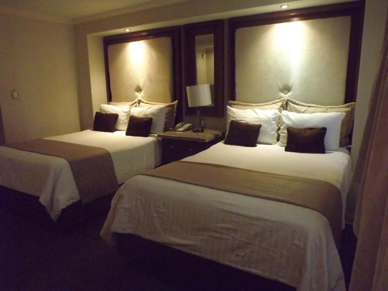 Rose Hotel - image 2