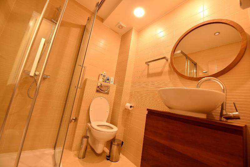 Studio Apartment image 3