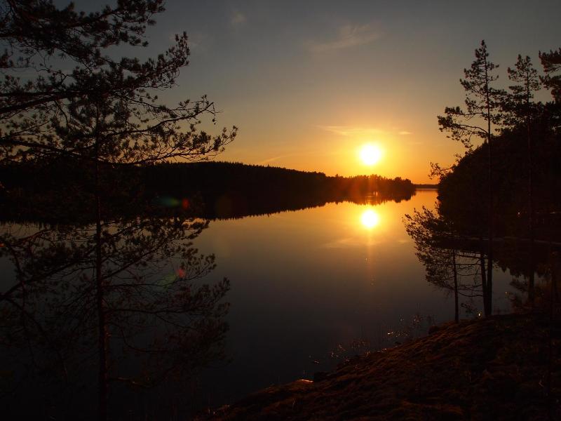 Four-Bedroom Villa with Sauna image 4
