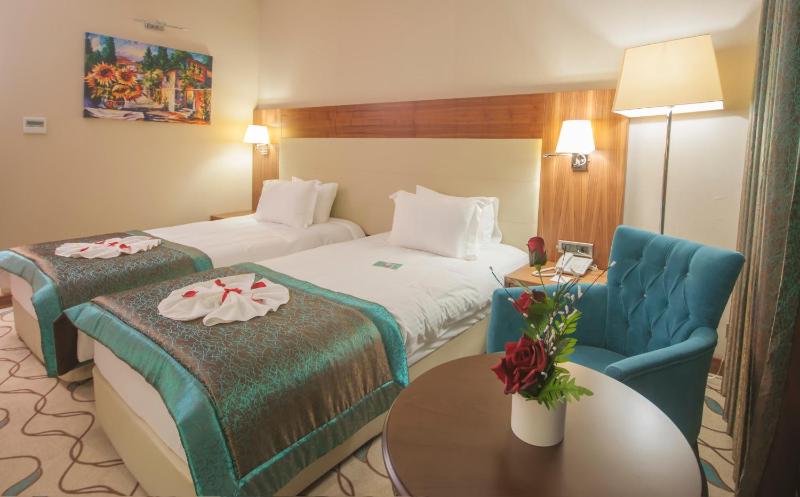 Standard Double or Twin Room image 1