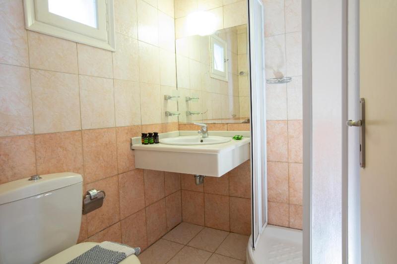 Apartment - Split Level image 4