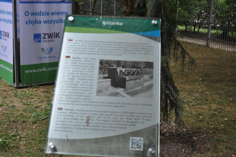 Pod starymi lipami - image 8
