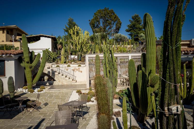 Garden Cactus - image 45