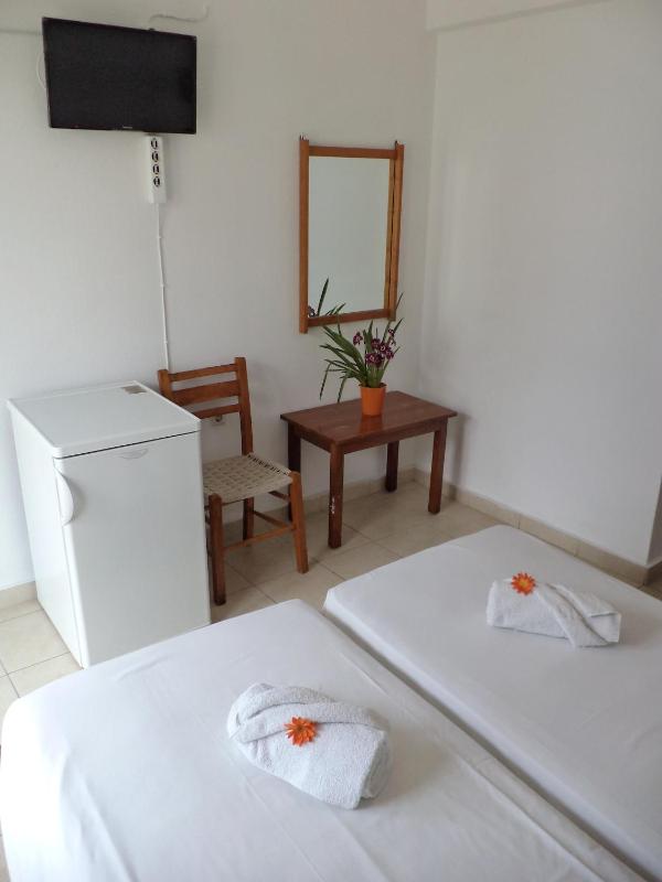 Double or Twin Room image 4
