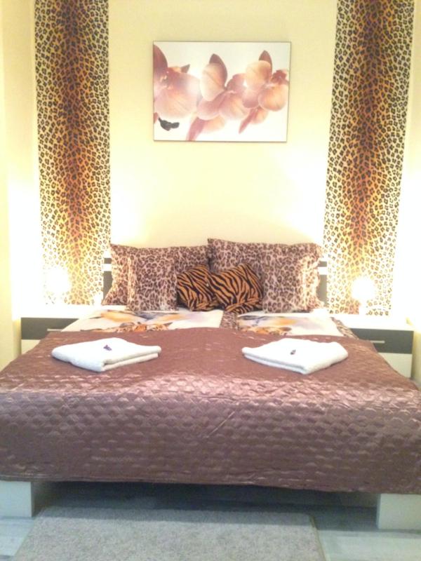 One-Bedroom Apartment image 4