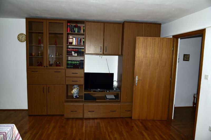 Apartment Palm tree - image 15
