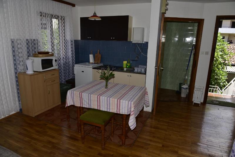 Apartment Palm tree - image 12