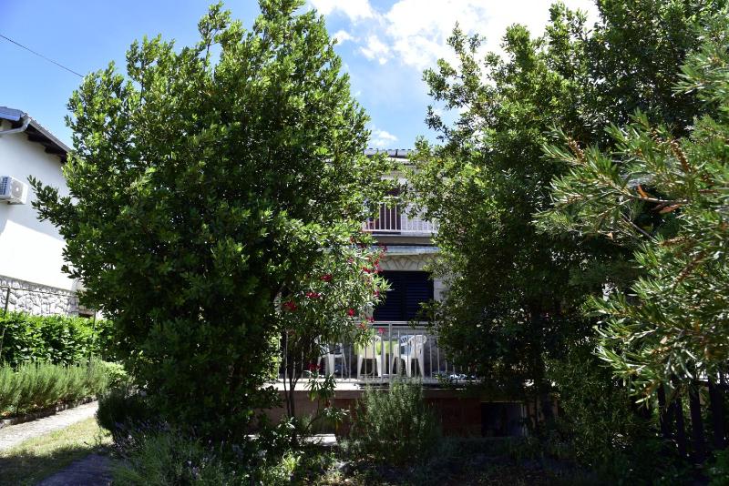 Apartment Palm tree - image 13