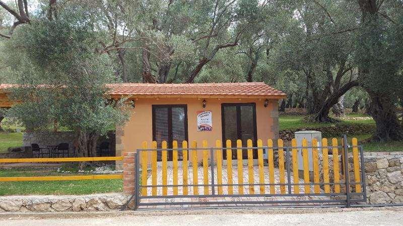 Olive Paradise - image 15
