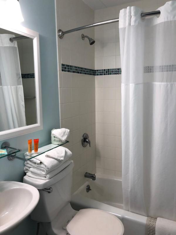 Two Room Queen Suite image 1
