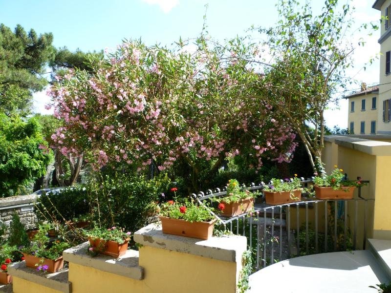 Villa Santa Margherita - Albergo - image 48