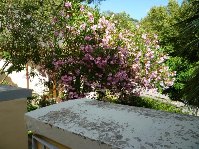 Villa Santa Margherita - Albergo - image 15