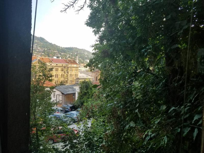Curovac View - image 10
