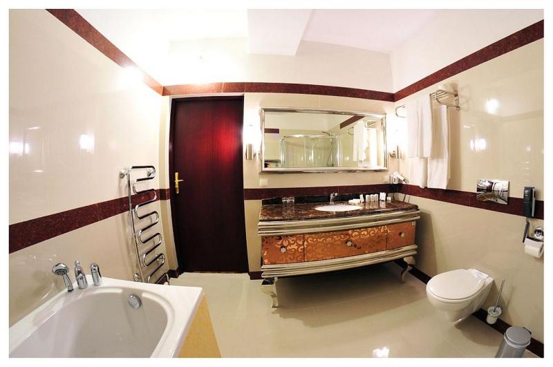 One-Bedroom Apartment image 4