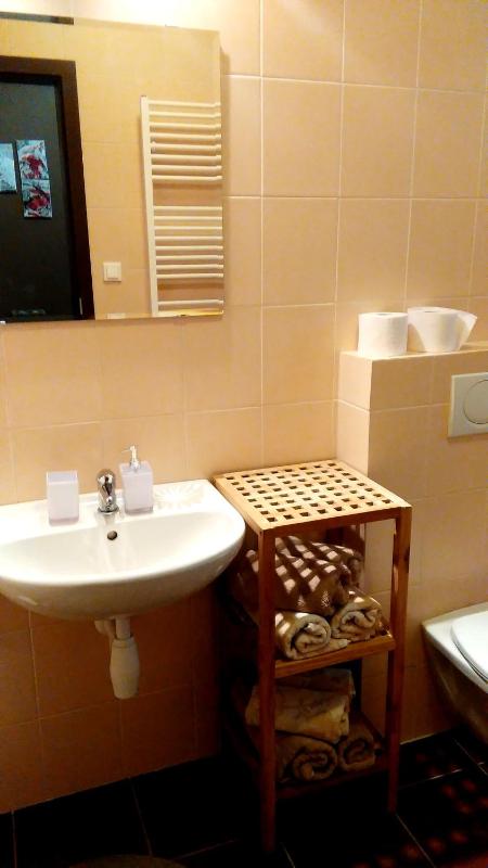 One-Bedroom Apartment image 3