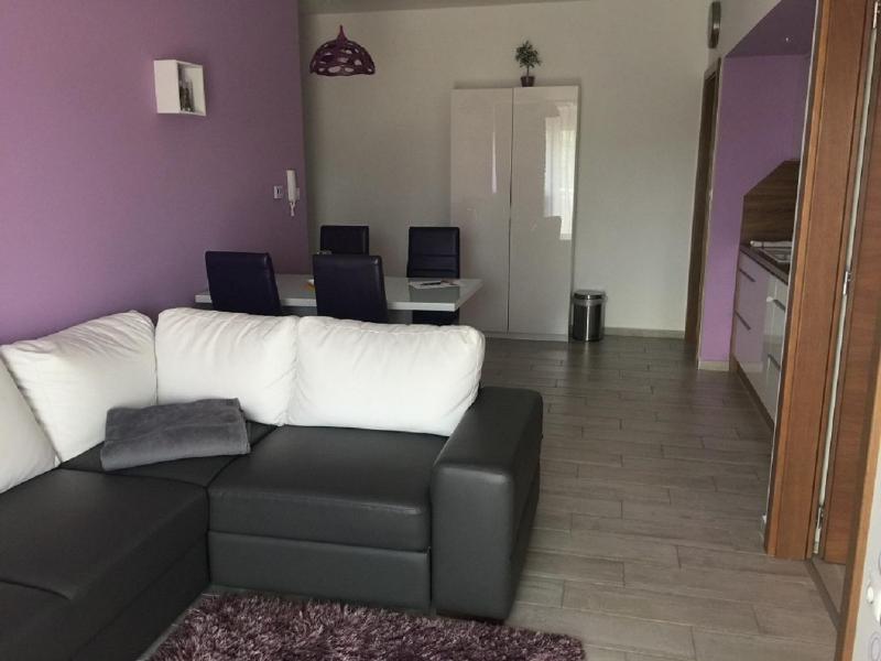 One-Bedroom Apartment image 3