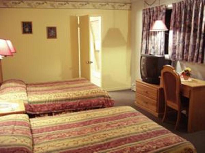 Auberge Mountain View Inn - image 19