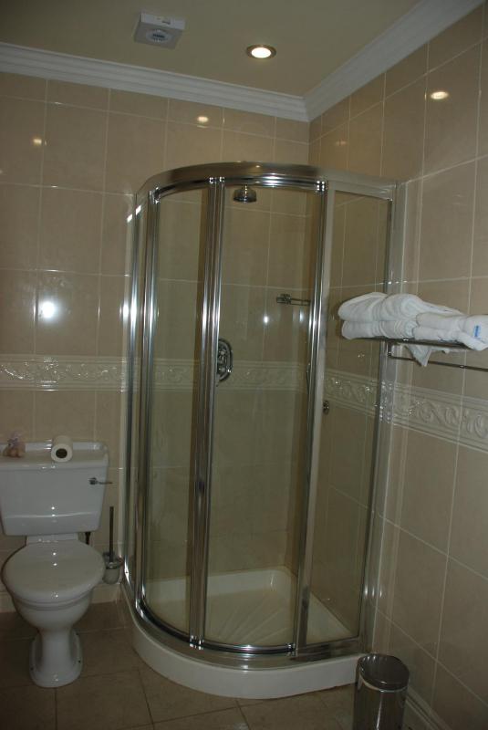 Standard King Room or Twin Room image 4