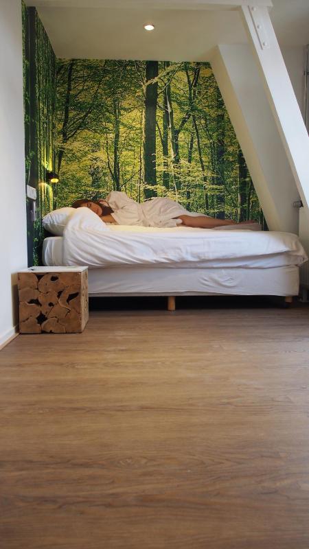 Deluxe Single Room with Balcony image 3