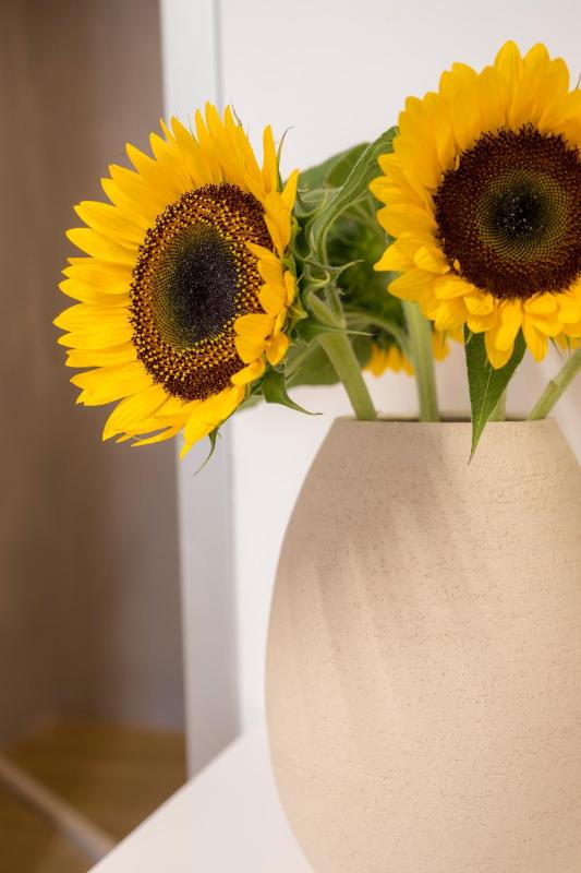 Superior Double Room image 2