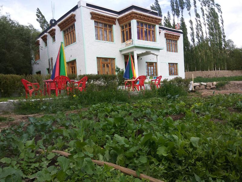 Palay Shay Shay - image 16