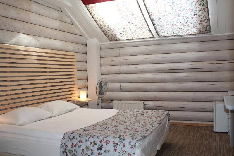 Double or Twin Room - Attic image 1