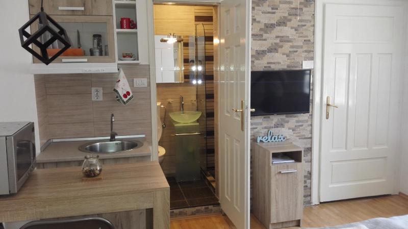 Studio Apartment image 4