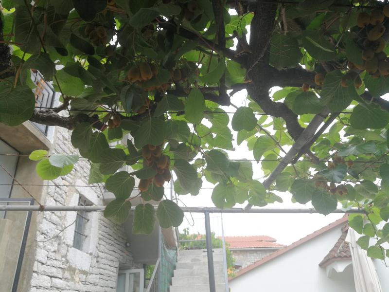 Apartment - Ground Floor image 1