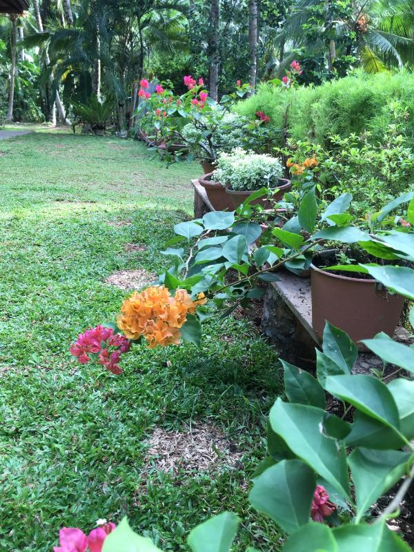 Coconut Treehouse- Villa near Unawatuna Beach - image 3