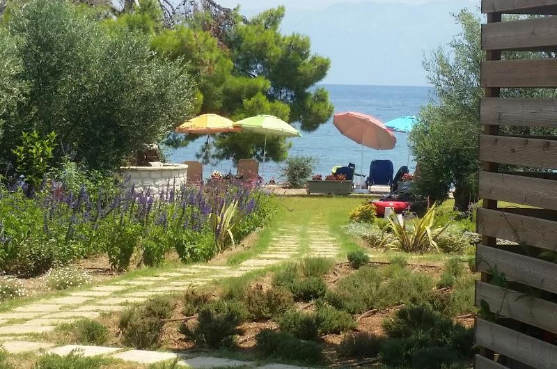 Bungalow - Water Front  image 2
