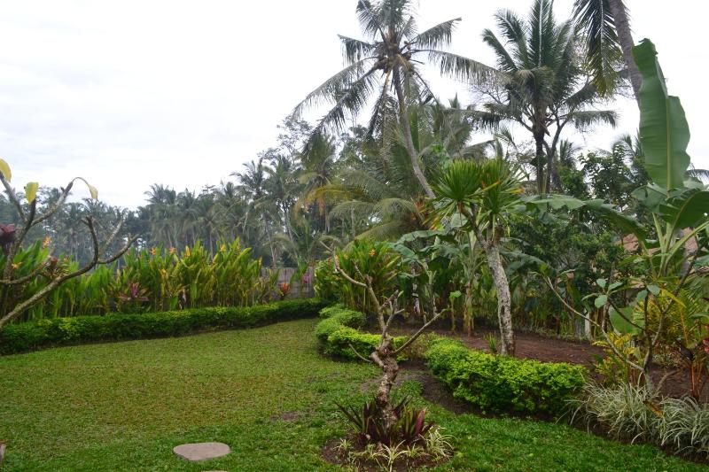 Buda Cottage Ubud - image 4