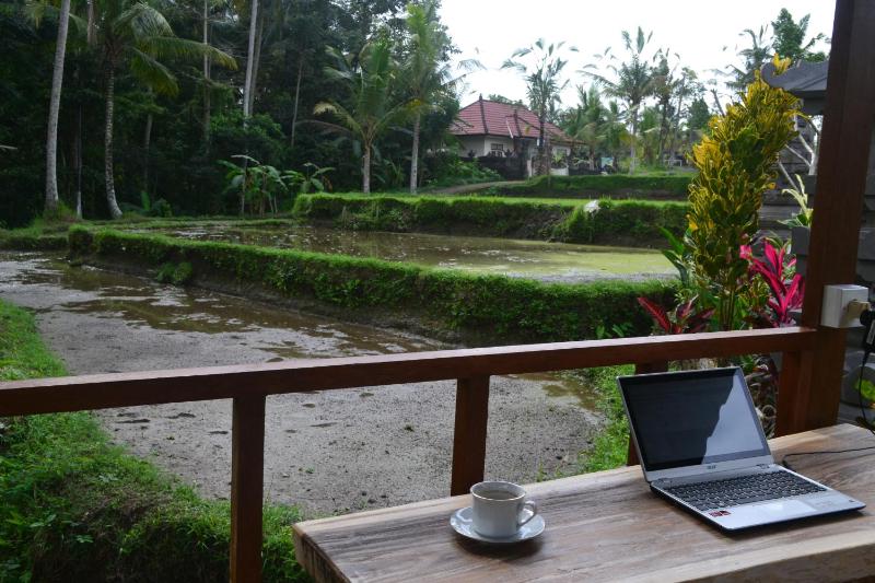 Buda Cottage Ubud - image 5